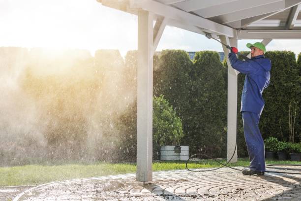 Best Sidewalk and Walkway Cleaning  in Beale Af, CA